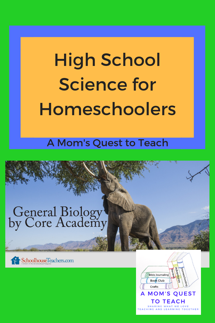 A Mom's Quest to Teach Homeschooling a High School Student Biology