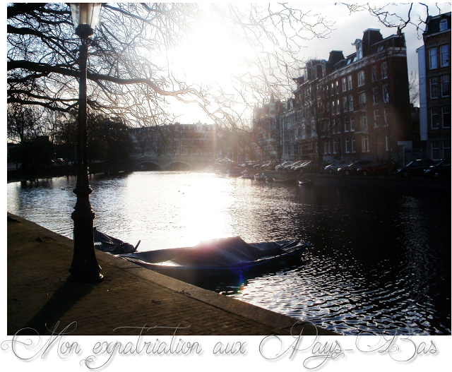 lifestyle -blog- expat the netherlands -amsterdam lifestyle -blog- expat the netherlands -amsterdam