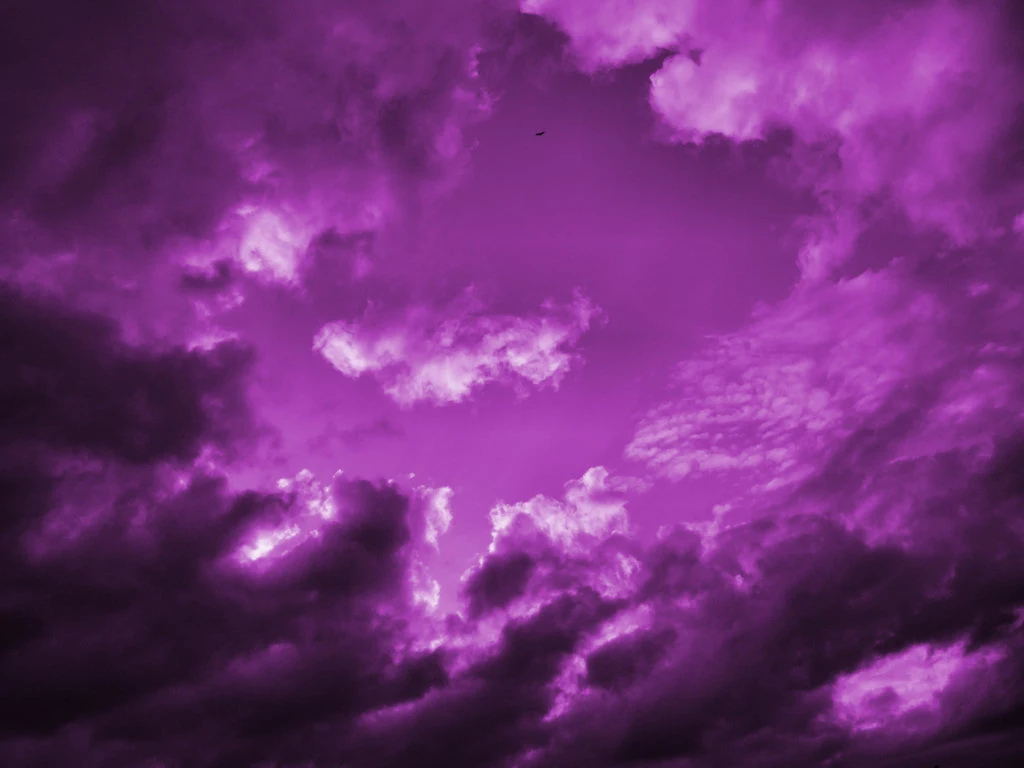 Amazing Purple Marking Paint Moment in 4K Amazing Purple Marking Paint Moment in 4K