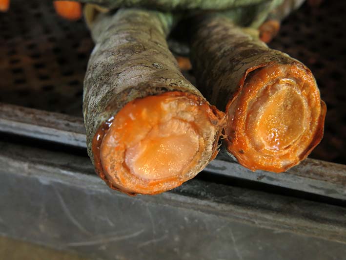 カルス Callus (disambiguation) JapaneseClass.jp