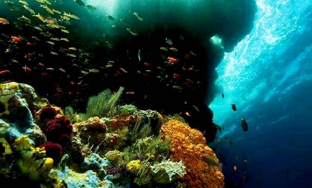 Tempat Wisata Di Papua