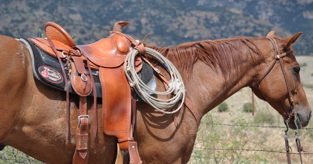 Living on Winchester Ranch Saddles, Ropes, Canteens, and other Gear