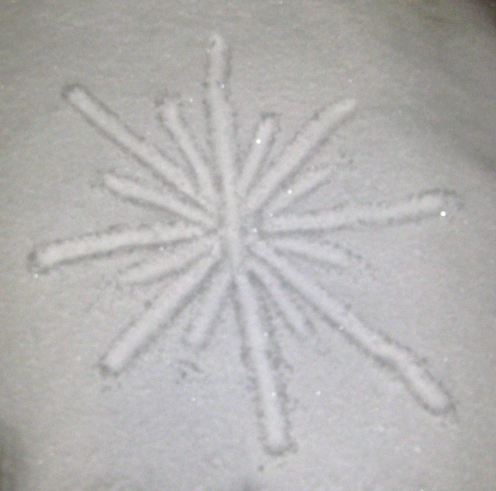 365 Days of Stargazing: 168. Snow Star