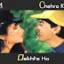 Chehra Kya Dekhte Ho / चेहरा क्या देखते हो / Lyrics In Hindi  Salaami (1994)