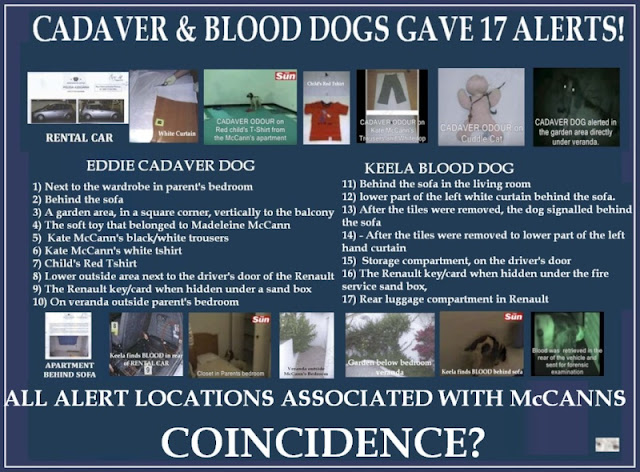 Chapter 9: On the reliability of Cadaver Dogs 17_ale11