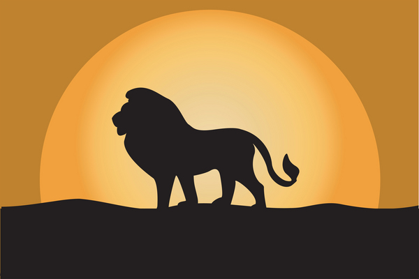 LEARNING CURVE ON THE ECLIPTIC: ZODIAC SIGN LEO