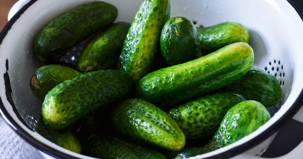 Christina macht was: Fridge Pickles / Eingelegte Gurken aus dem Kühlschrank Christina macht was: Fridge Pickles / Eingelegte Gurken aus dem Kühlschrank