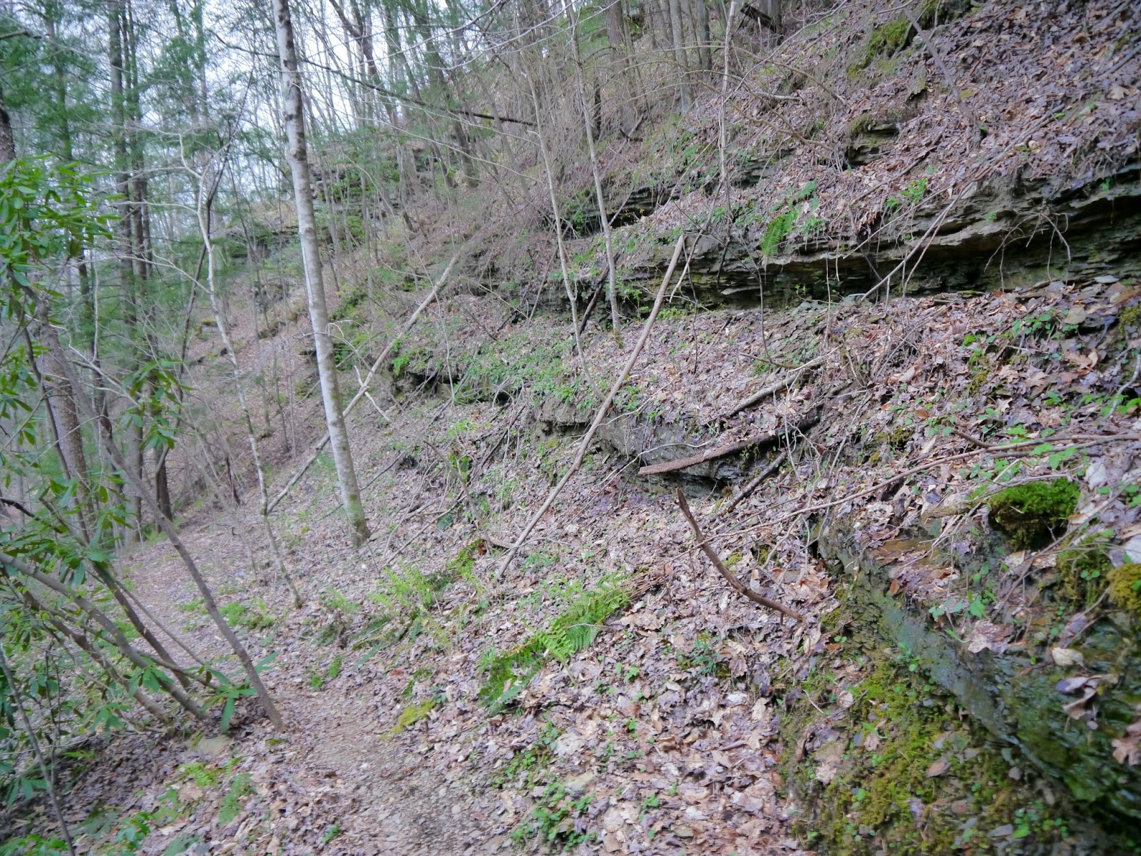 American Travel Journal Emory River Section Cumberland Trail State Park & Obed National