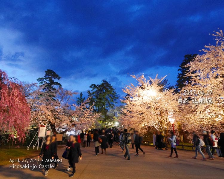 弘前城の桜ライトアップ