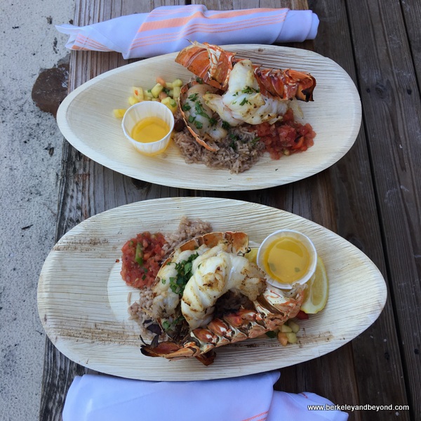 Travels With Carole Half Moon Cay, Bahamas; things to do