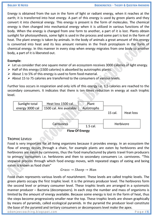 bioenergetics-descriptive-question-answers-biology-11th