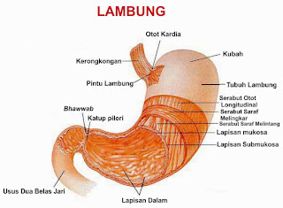 http://daftarinformasiku.blogspot.co.id