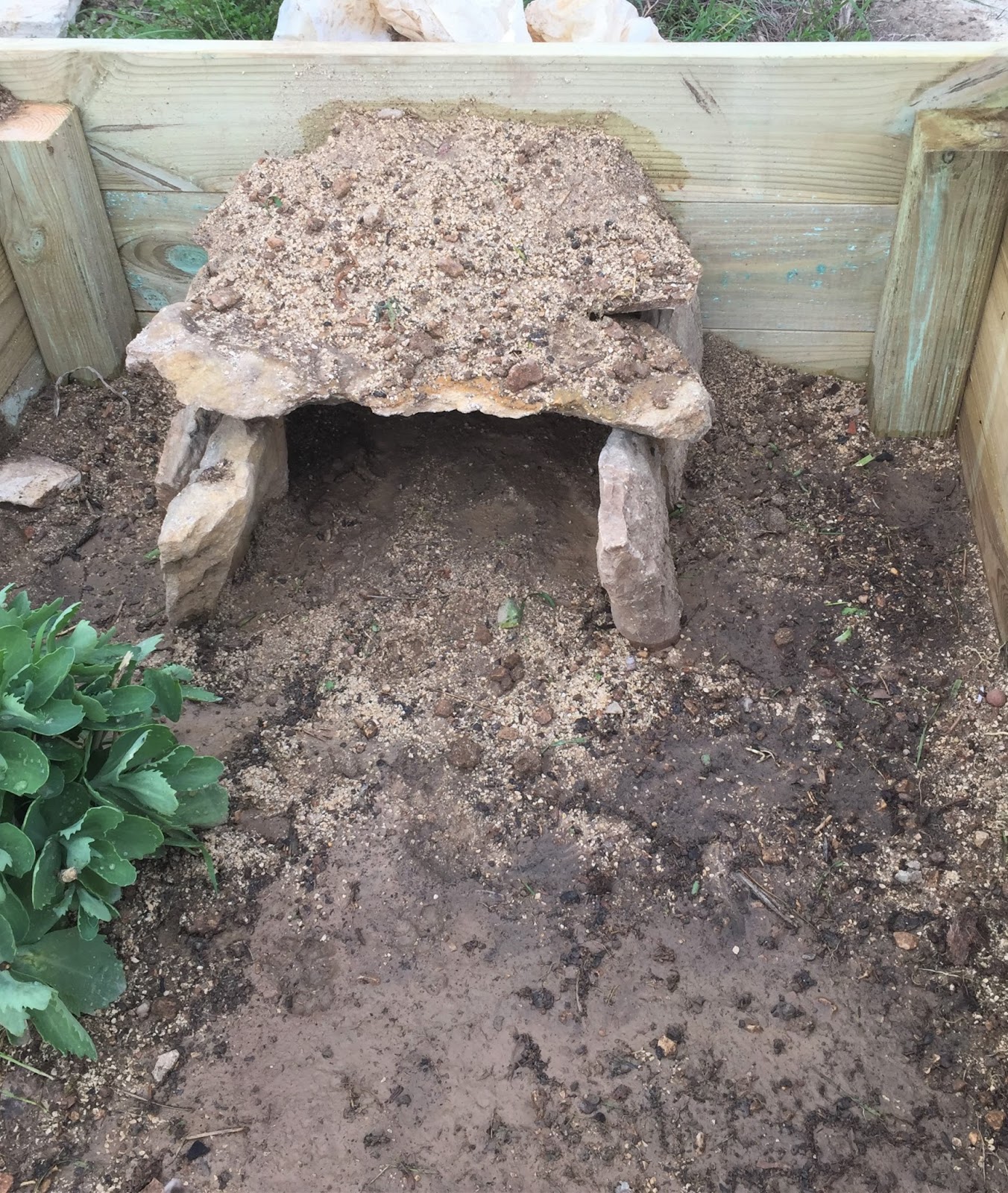 Comment aménager un enclos pour sa tortue ?