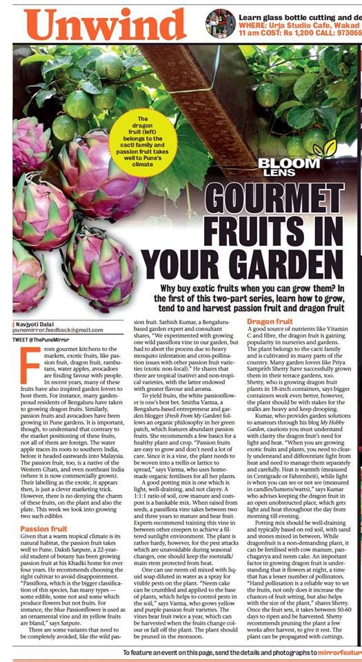 Article in the Pune Mirror