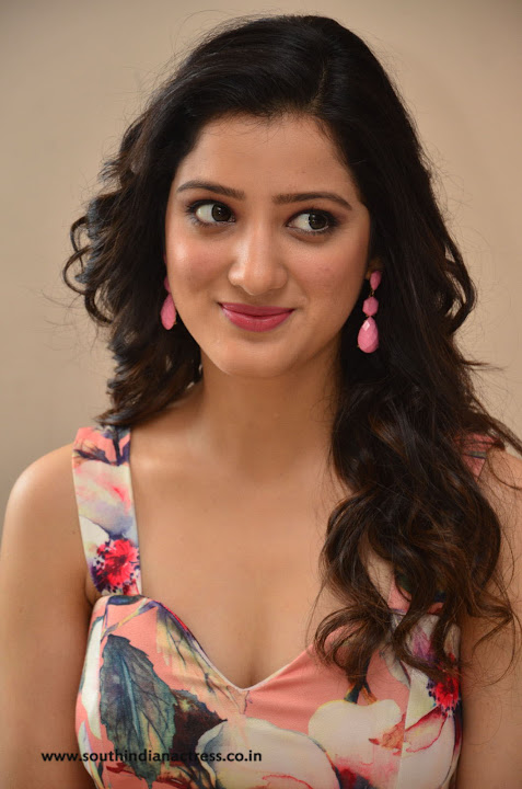 Richa Panai at Rakshaka Bhatudu Movie Pre Release