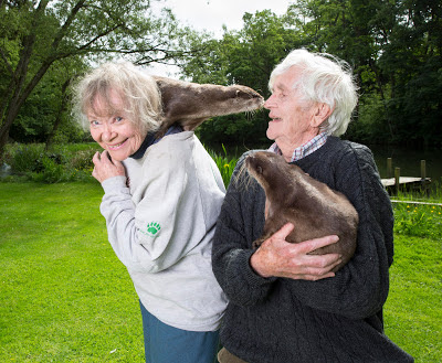 Daphne Neville with Rudi and Martin Neville with Belinda - their tame otters