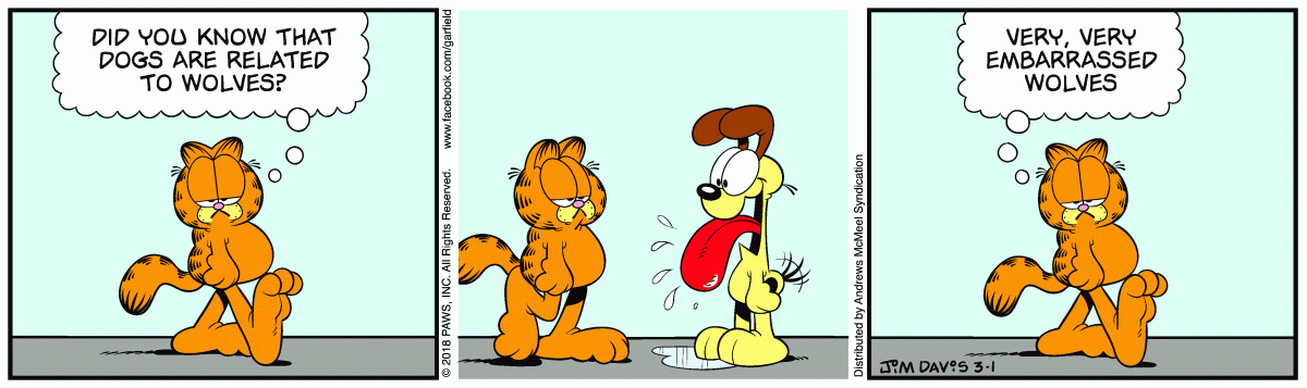 Quadrinho traduzido do Garfield