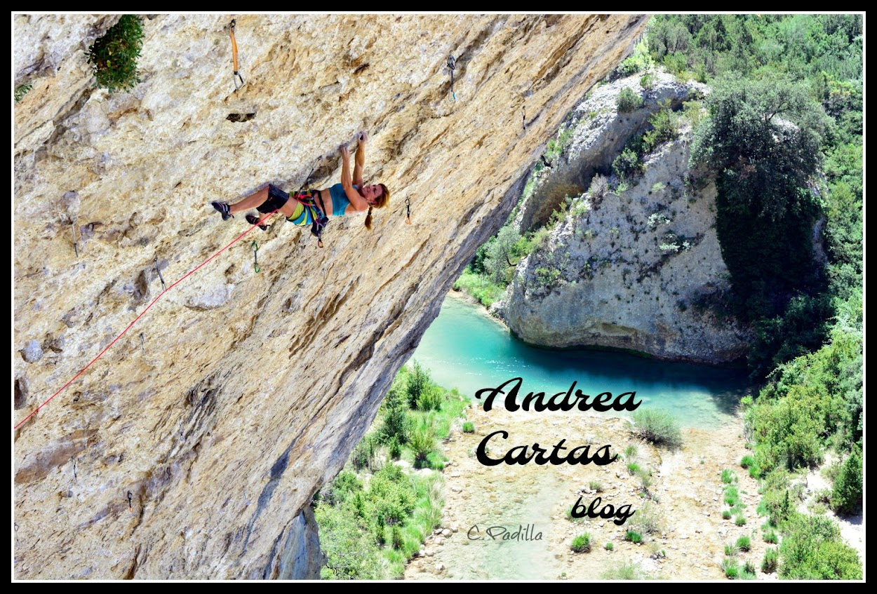 .Andrea Cartas Blog