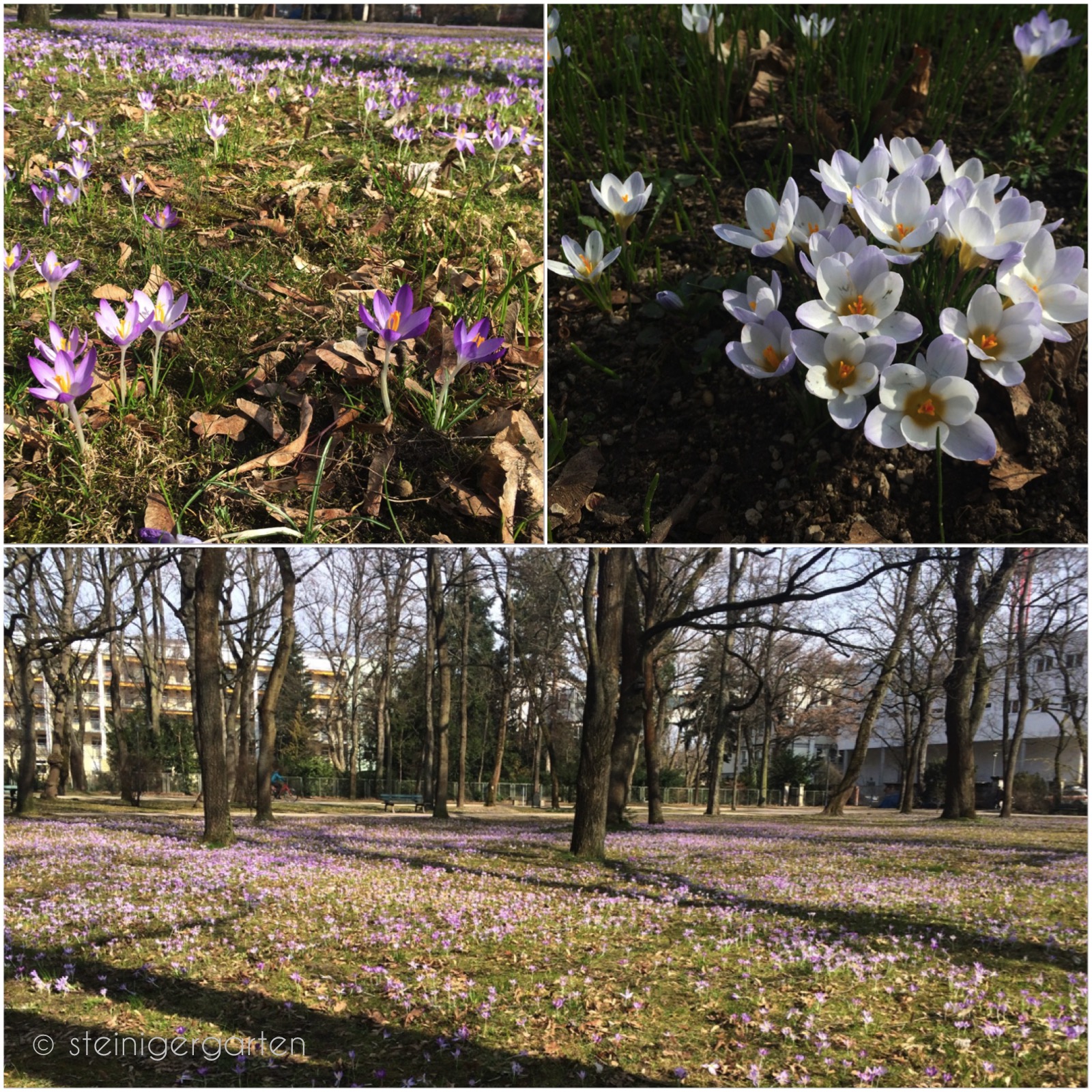 Praxis Geiselgasteig Robert Koch Str 9 82031 Grunwald Tel