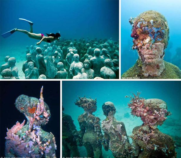 The Domestic Curator Cancun's Underwater Museum