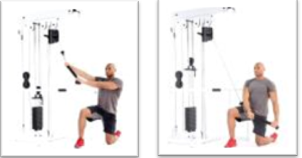 TrackTherapist: Training and Myths About the Core