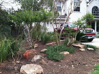 Jason's Japanese Gardens: Front Yard - Japanese Garden