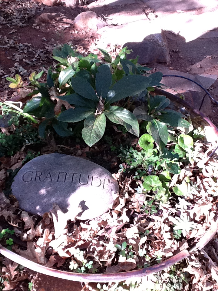 Stones in the Garden