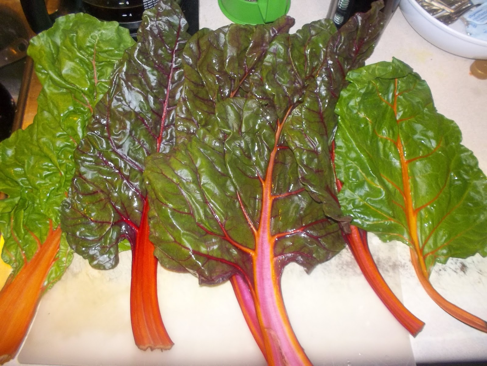 kyle+blog KNOW YOUR VEGETABLES