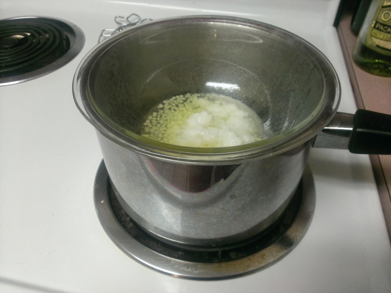 Krissy Kat Says Burt's Bees Chapstick DIY