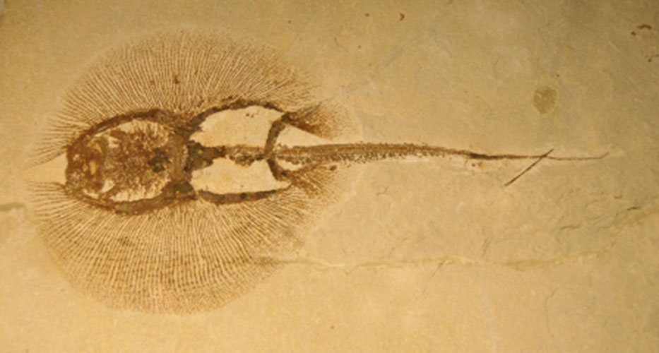 Litchfield Hills & Fairfield County Connecticut Travel Secrets of