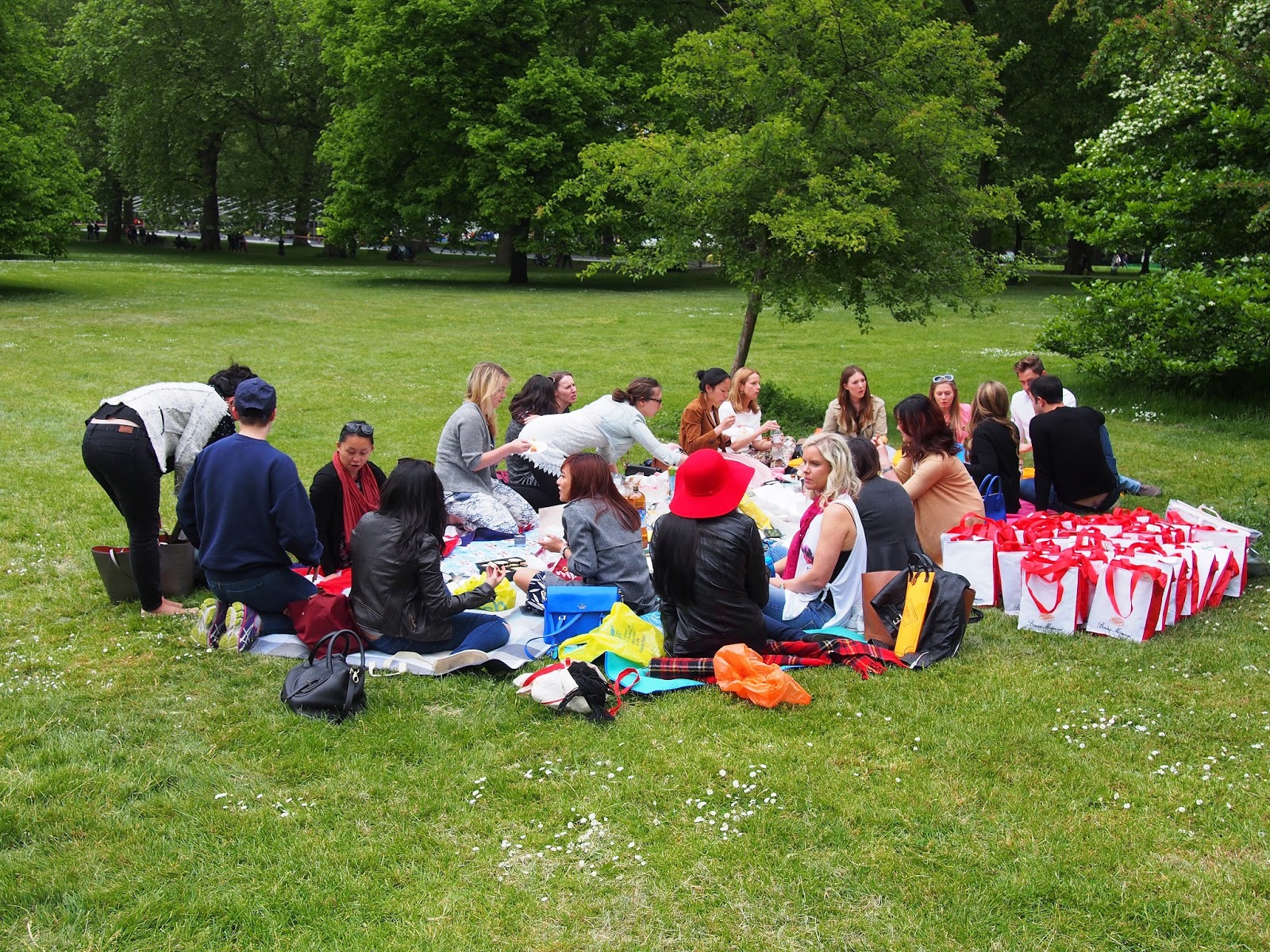 Timid To Social Blogger