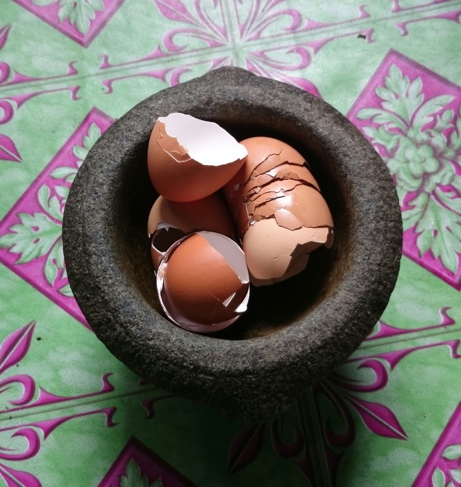 Panduan Membuat Baja Kulit Telur Bergambar Rangkuman Cara Bertanam