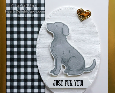 Heart's Delight Cards, Happy Tails, Dog Builder Punch, Dog, Occasions 2019, Sneak Peek Occasions 2019, Stampin' Up!
