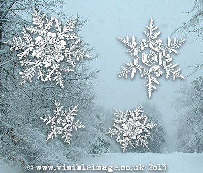 snowflake stamps - Visible Image