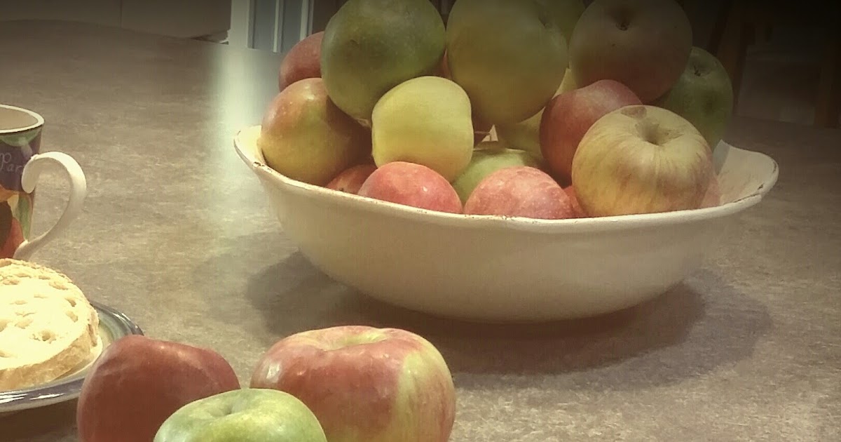 Heartfelt Balance Handmade Life DIY Apple Peel Potpourri