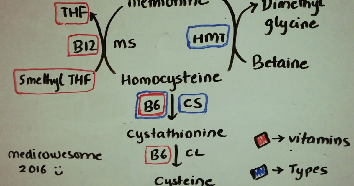 Medicowesome Homocysteine metabolism notes for USMLE