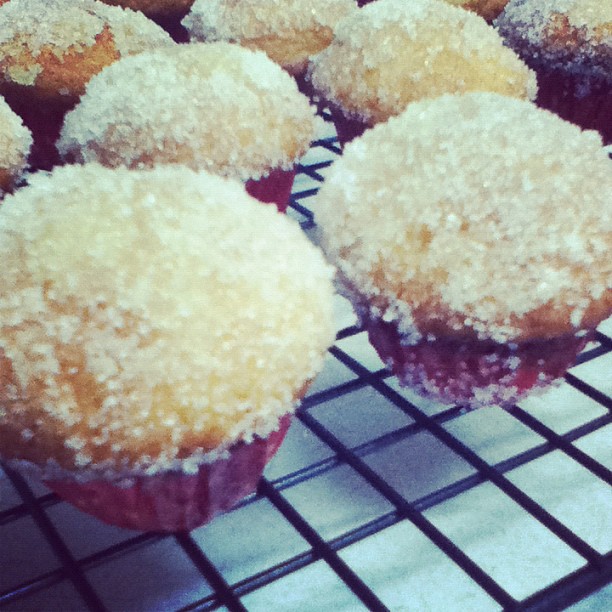 Mix & Fold Nigella Challenge Jam Doughnut Muffins