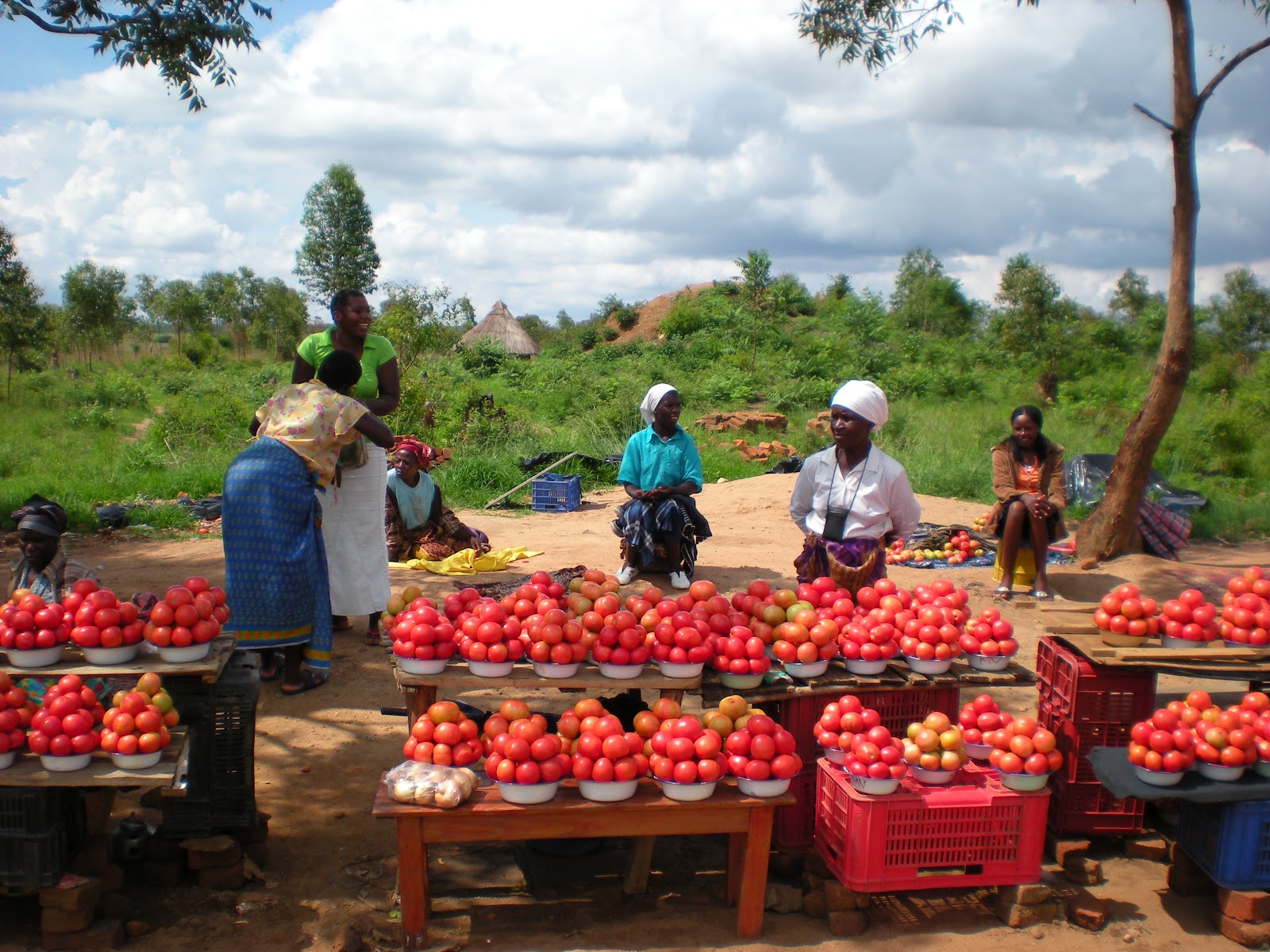 HECK'S MISSIONARY BLOG: VENDORS OF ZIMBABWE