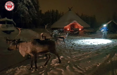 Granja de renos en tour nocturno, Laponia, Finlandia