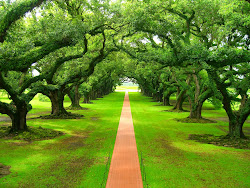 wallpapers nature desktop widescreen pretty amazing stunning awesome gorgeous unique definition true