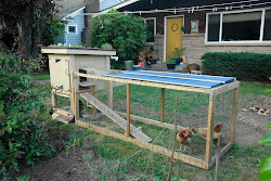 pinning coop chicken coolest isn