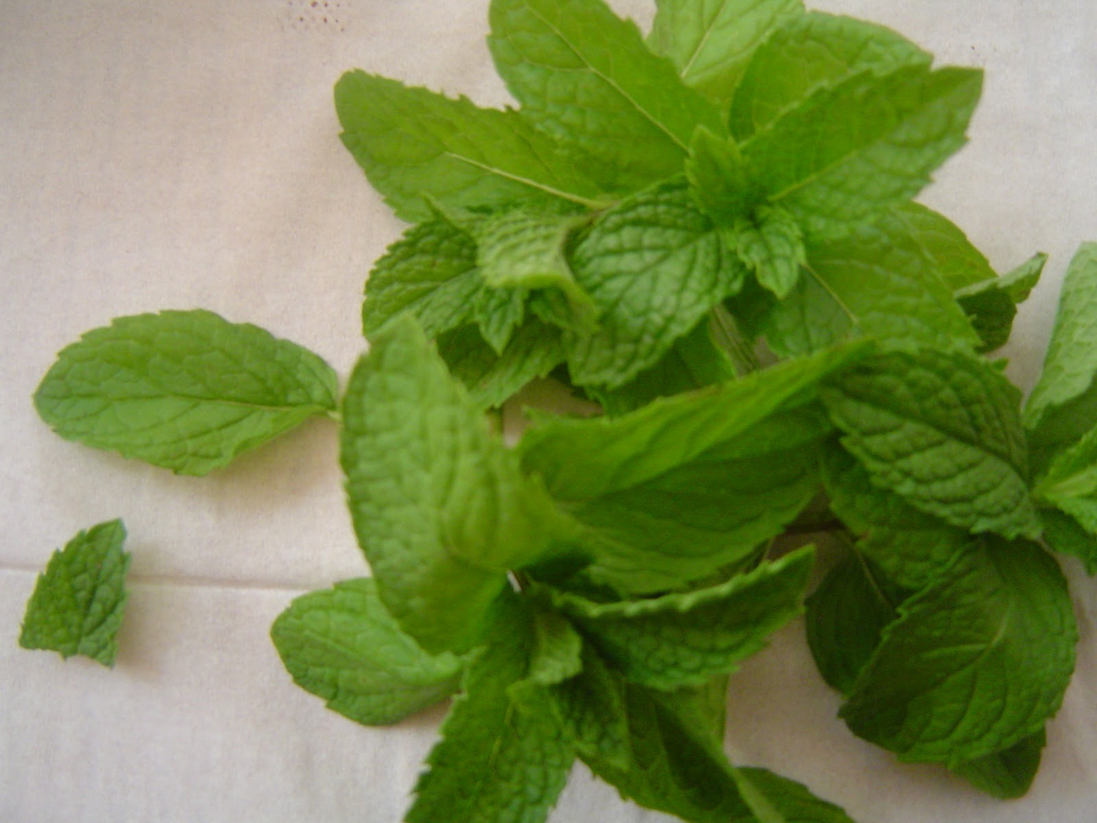 pakistani home cooking mint chutney ,mint sauce