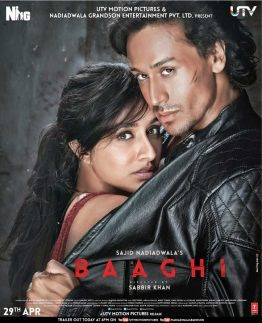Download Film Baaghi 2016 Subtitle Indonesia Terbaru