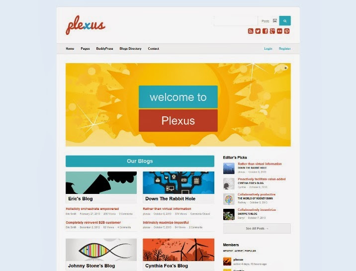 Plexus - Network WordPress & BuddyPress Theme