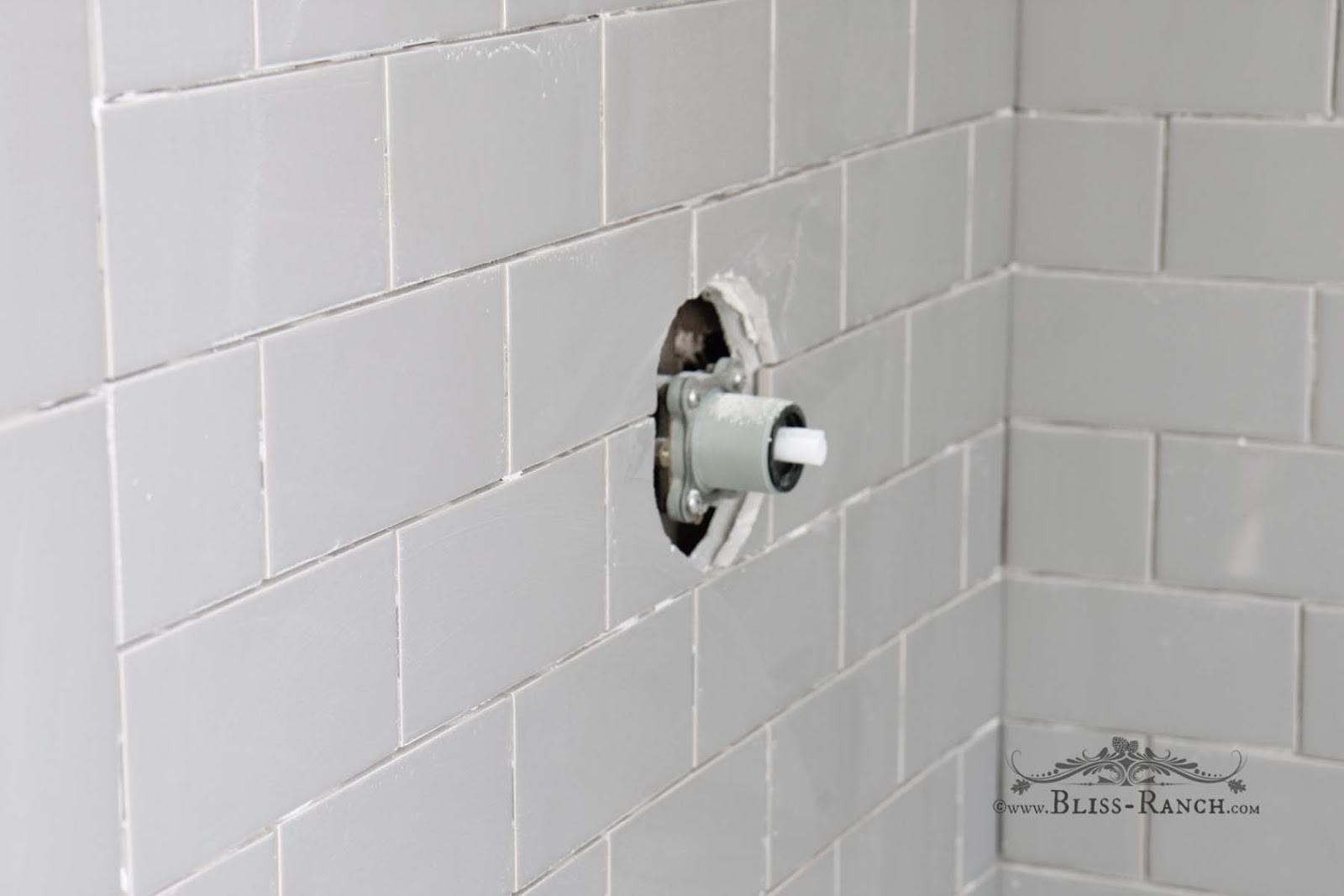 Bliss Ranch Subway Shower Tile