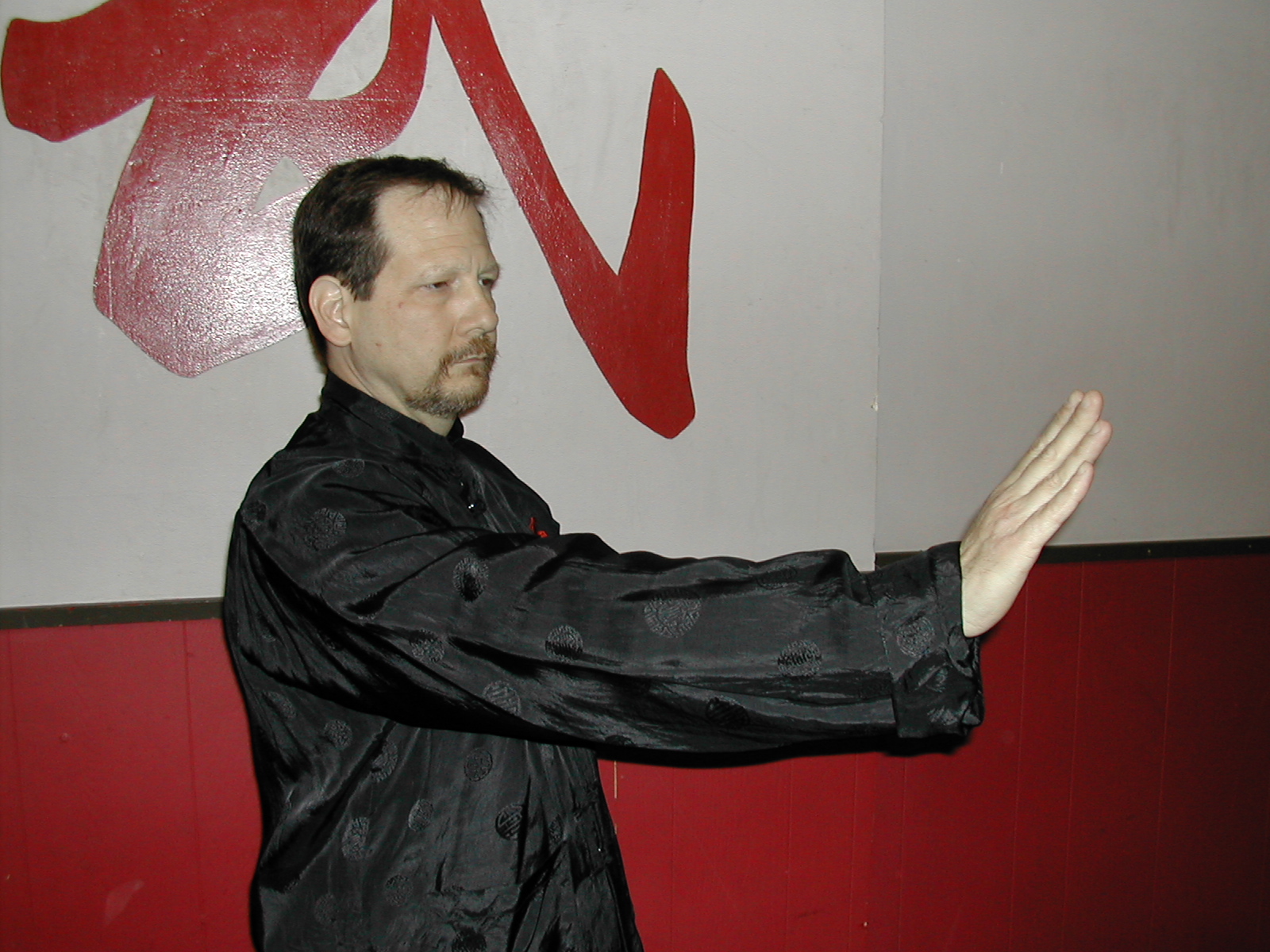 Isshin Concentration the Art Ernest Rothrock A Tai Chi Palm Exercise