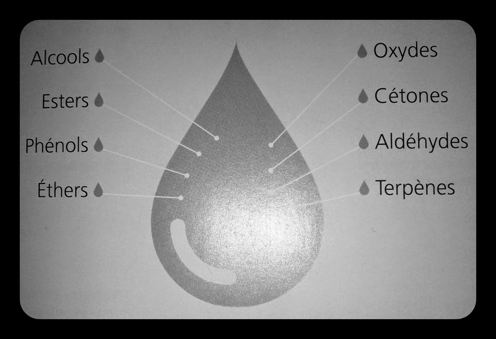 Tpe huiles essentielles  Introduction