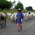 Open Grazing Prohibition Bill passes second reading in Benue State