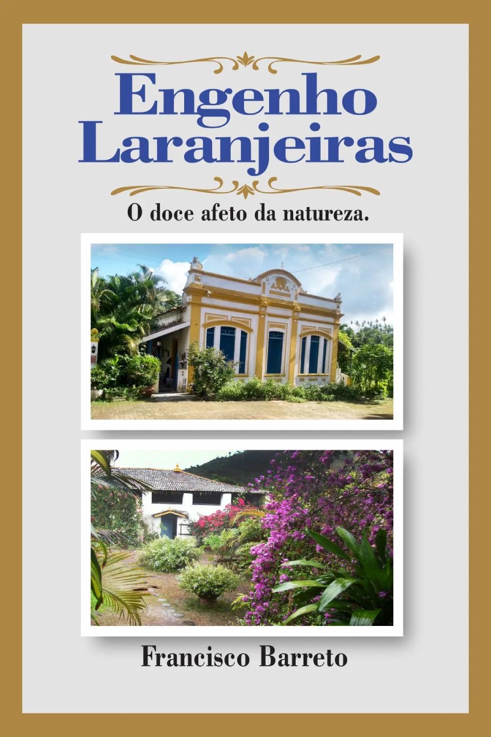 ambiente de leitura carlos romero jose nunes francisco barreto Engenho Laranjeiras livro o Doce Afeto da Natureza serraria cana de acucar exilio