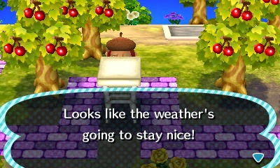 crossing animal dotty replace shark asked saw something